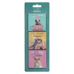 Pet Collection Three Piece Magnetic Set - Image 4