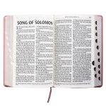 KJV Pink Faux Leather Bible Giant Print - Image 28