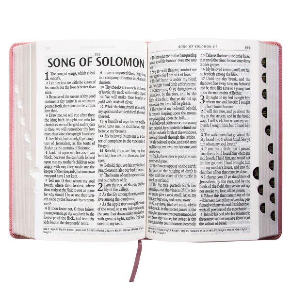 KJV Pink Faux Leather Bible Giant Print - Image 28