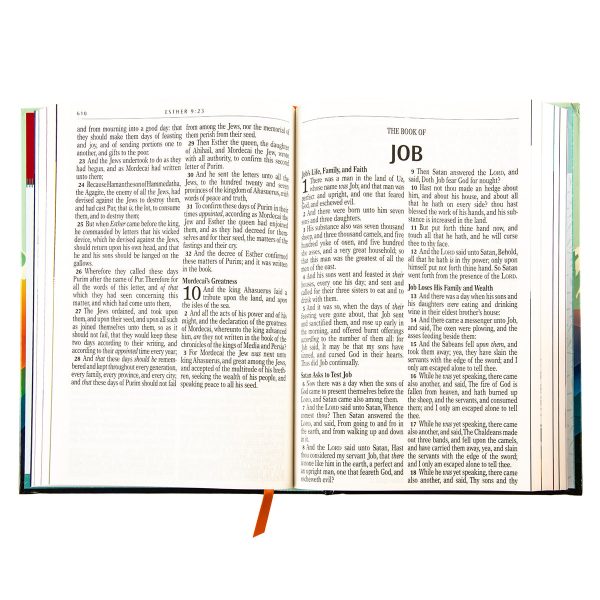 KJV Teal Mountains Hardcover Kids Bible Large Print - Image 23
