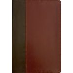 NKJV Life Application Study Bible, Third Ed, Large Print, Red Letter, Mahogany (Immitation Leather) - Image 16