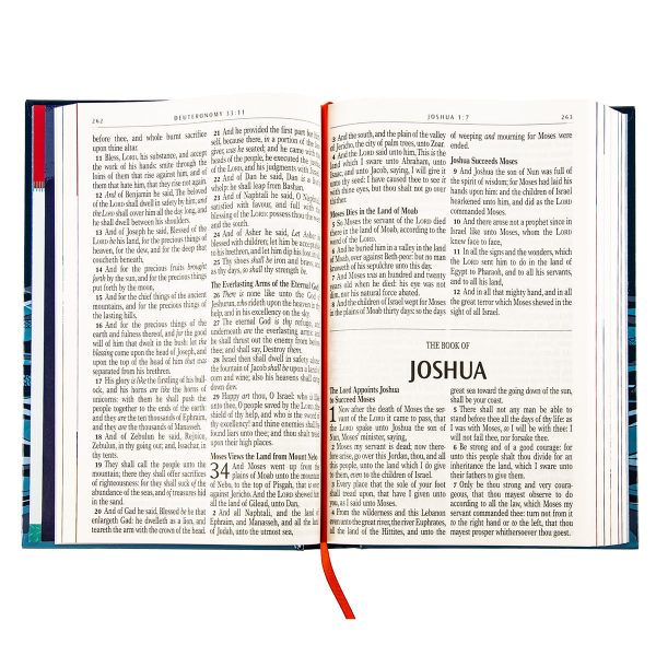 KJV Blue Ocean Hardcover Kids Bible Large Print - Image 24