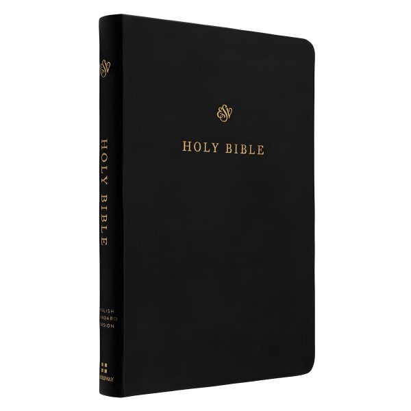 ESV TruTone Black Imitation Leather Gift and Award Bible - Image 11