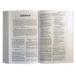 NIV Basic Study Bible, Economy, Blue, Red Letter (Paperback) - Image 12