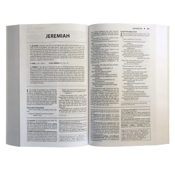 NIV Basic Study Bible, Economy, Blue, Red Letter (Paperback) - Image 12