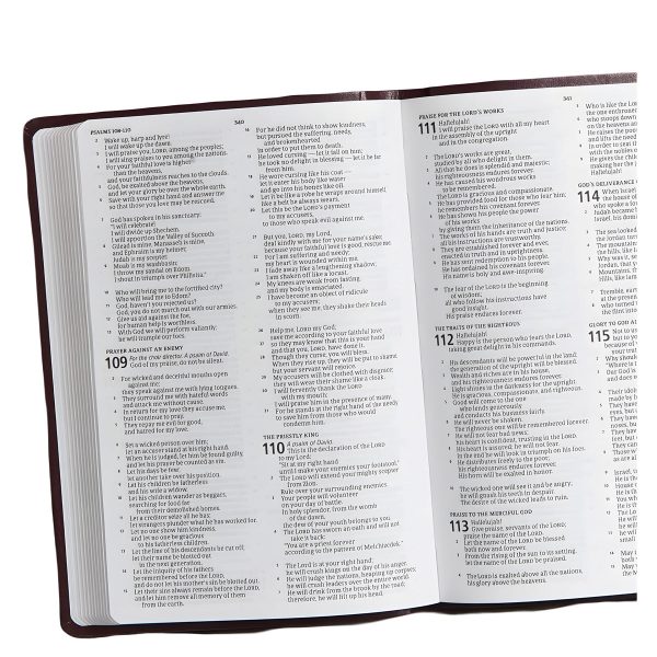 CSB Burgundy Imitation Leather Gift & Award Bible - Image 12