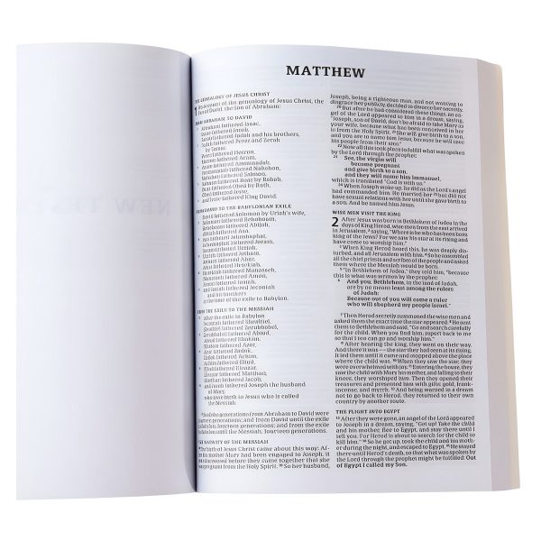CSB Outreach Bible For Kids (Paperback) - Image 7