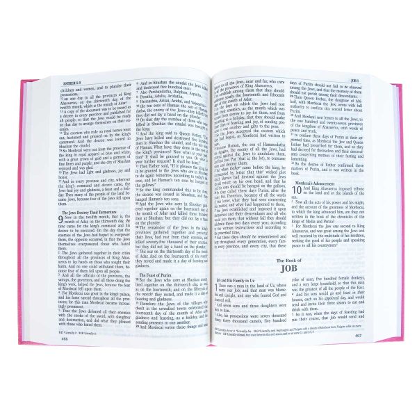 NKJV Pink Hardcover Bible - Image 16
