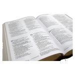 NIV, NKJV, NLT, The Message Contemporary Comparative Parallel Bible (Hardcover) - Image 12