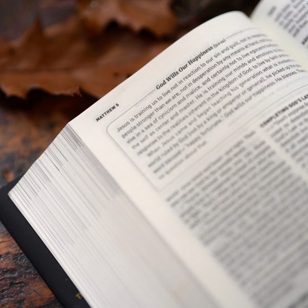 The Message Devotional Bible Large Print (Hardcover) - Image 17
