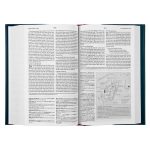 ESV Concise Study Bible (Hardcover) - Image 6