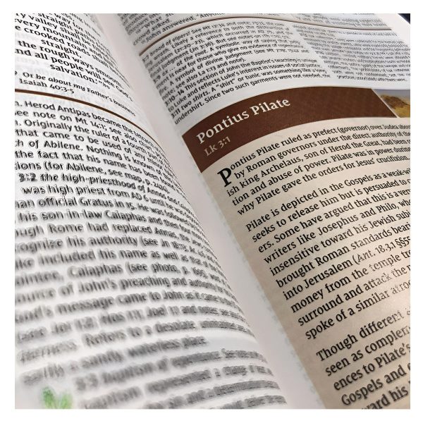 NIV Study Bible, Fully Revised Edition, Large Print, Red Letter (Comfort Print)(Hardcover) - Image 11