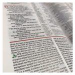 NIV Study Bible, Fully Revised Edition, Large Print, Red Letter (Comfort Print)(Hardcover) - Image 12