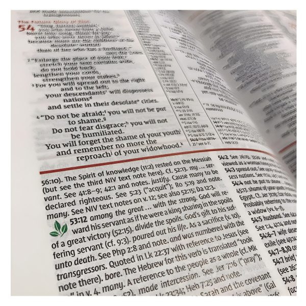 NIV Study Bible, Fully Revised Edition, Large Print, Red Letter (Comfort Print)(Hardcover) - Image 12