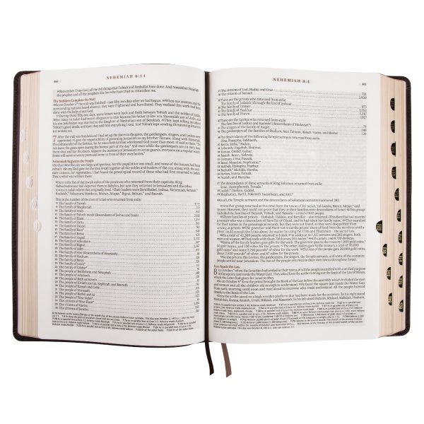 NLT Dark Brown Faux Leather Thumb Indexed Spiritual Growth Bible - Image 28