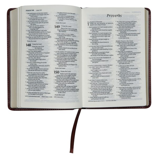 NLT Brown Faux Leather Flexcover Compact Bible - Image 27
