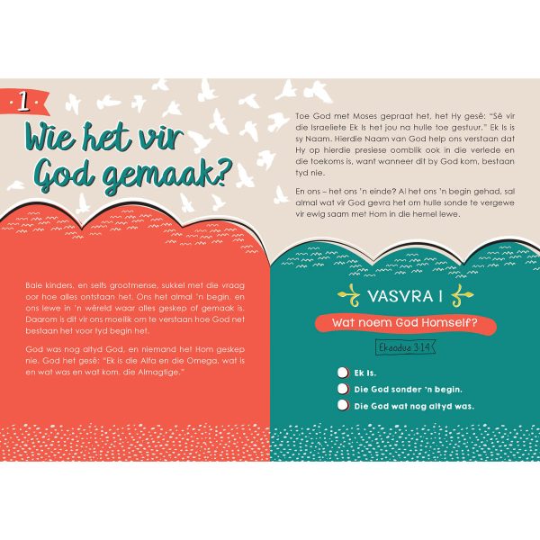 Bybelvrae En Antwoorde Vir Kinders (Sagteband) - Image 11