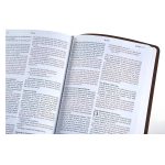 NLT Filament Thinline Reference Bible Red Letter Rustic Brown (Imitation Leather) - Image 19