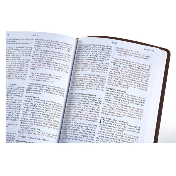 NLT Filament Thinline Reference Bible Red Letter Rustic Brown (Imitation Leather) - Image 19