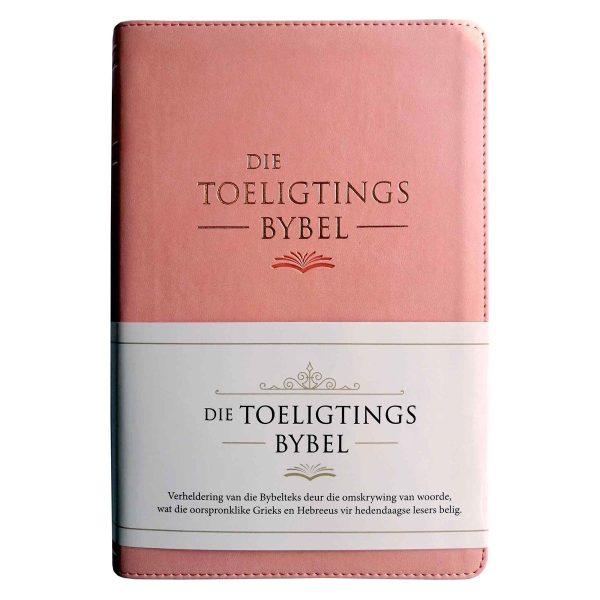 NLV Salm Kunsleer Toeligtingsbybel - Image 18