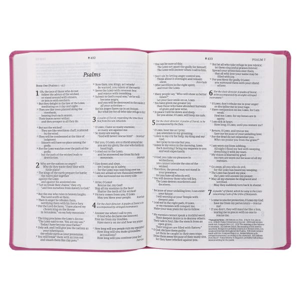 NLT Filament Premium Value Thinline Bible, Large Print, Garden Pink (Imitation Leather) - Image 24