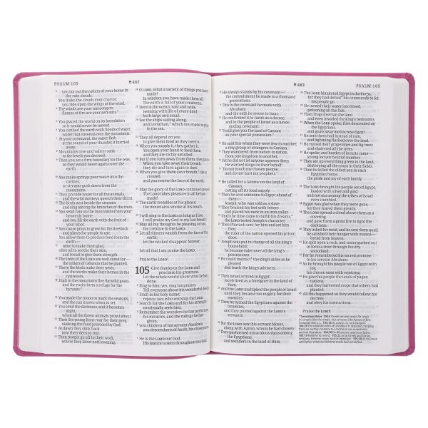 NLT Filament Premium Value Thinline Bible, Large Print, Garden Pink (Imitation Leather) - Image 25