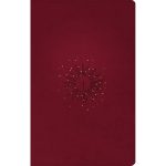 NLT Filament Thinline Reference Bible Red Letter Aurora Cranberry (Imitation Leather) - Image 16