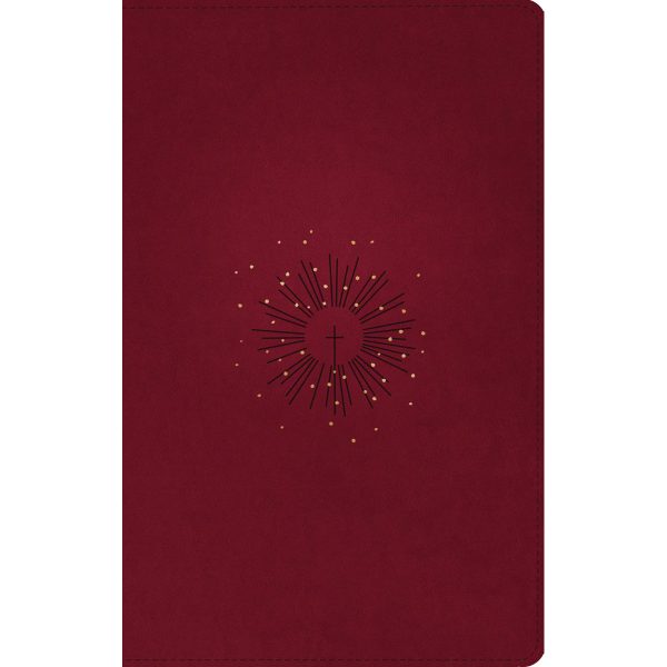 NLT Filament Thinline Reference Bible Red Letter Aurora Cranberry (Imitation Leather) - Image 16