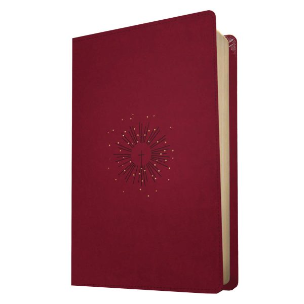 NLT Filament Thinline Reference Bible Red Letter Aurora Cranberry (Imitation Leather) - Image 18