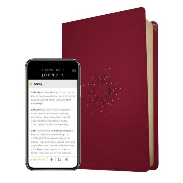 NLT Filament Thinline Reference Bible Red Letter Aurora Cranberry (Imitation Leather) - Image 19