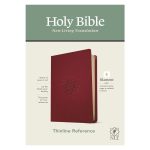 NLT Filament Thinline Reference Bible Red Letter Aurora Cranberry (Imitation Leather) - Image 20