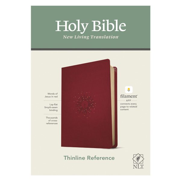 NLT Filament Thinline Reference Bible Red Letter Aurora Cranberry (Imitation Leather) - Image 20