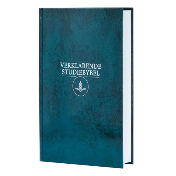 Afrikaans 1933/1953 Vertaling Groen Hardeband Verklarende Studiebybel - Image 16