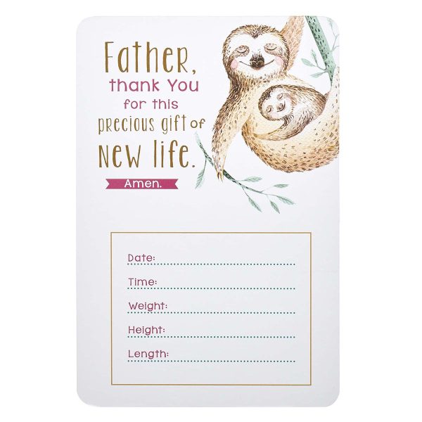 My Baby Girl's Milestones (Boxed Cards) - Image 18
