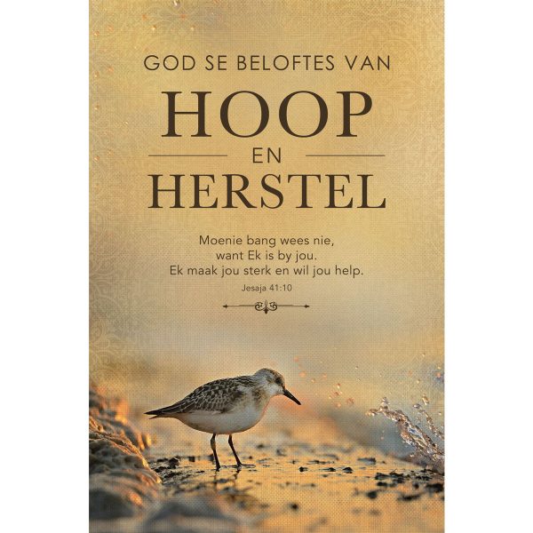 God Se Beloftes Van Hoop En Herstel (Sagteband) - Image 10