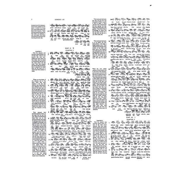 Interlinear Bible Hebrew-Greek-English (Hardcover) - Image 21