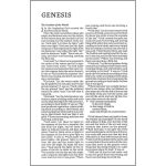 NET Bible Thinline Black (Comfort Print)(Imitation Leather) - Image 15