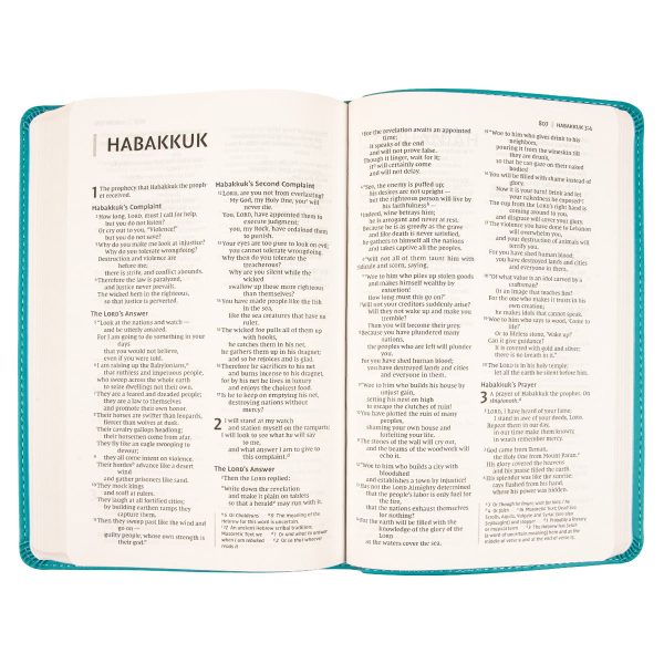 NIV Faux Leather Value Thinline Bible Teal Comfort Print - Image 24