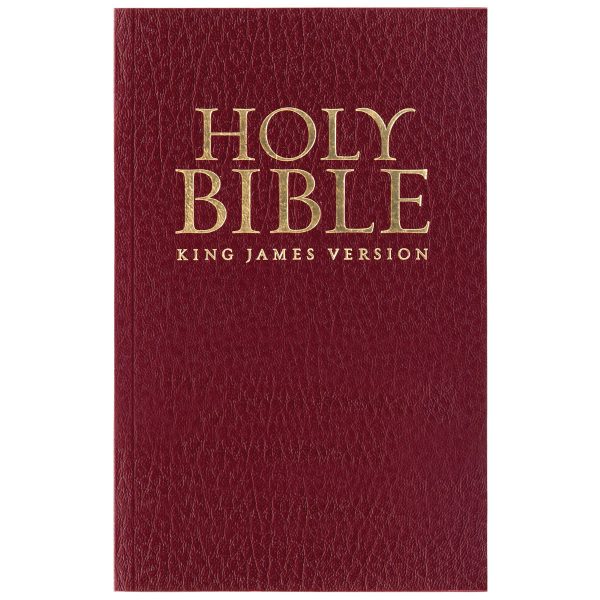 KJV Burgundy Faux Leather Gift Edition Bible - Image 22