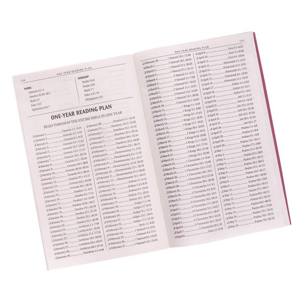 KJV Burgundy Faux Leather Gift Edition Bible - Image 27