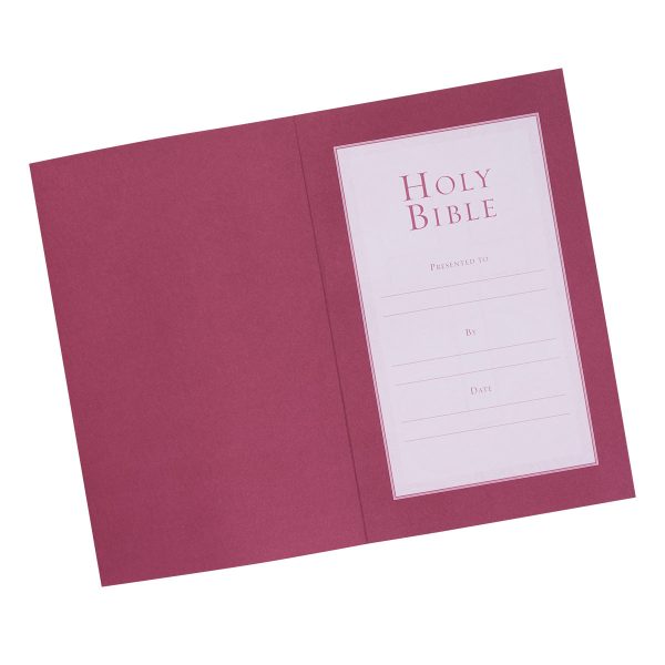 KJV Burgundy Faux Leather Gift Edition Bible - Image 28