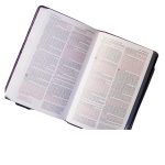 NKJV Deluxe Gift Bible Red Letter Blue (Comfort Print)(Imitation Leather) - Image 16