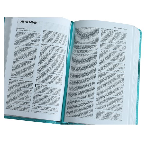 NIV Teal Imitation Leather Premium Gift Bible Red Letter Comfort Print - Image 18