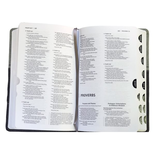 NIV Premium Gift Red Letter Indexed Black / Gray (Comfort Print)(Imitation Leather) - Image 14