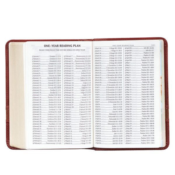 KJV Brown Faux Leather Compact Bible Large Print Red Letter - Image 27