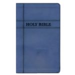 NIV Navy Imitation Leather Premium Gift Bible Red Letter Comfort Print - Image 13