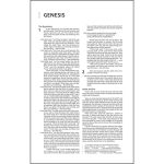 NIV Navy Imitation Leather Premium Gift Bible Red Letter Comfort Print - Image 17