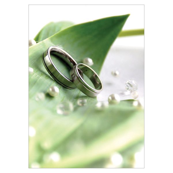 Rings (Pack Of 100)(Bulletin) - Image 3
