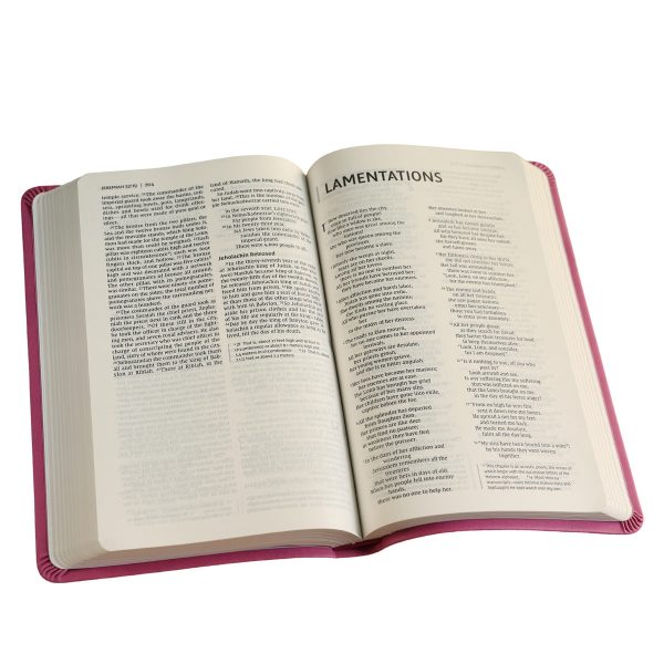 NIV Value Thinline Bible Pink (Comfort Print)(Imitation Leather) - Image 23