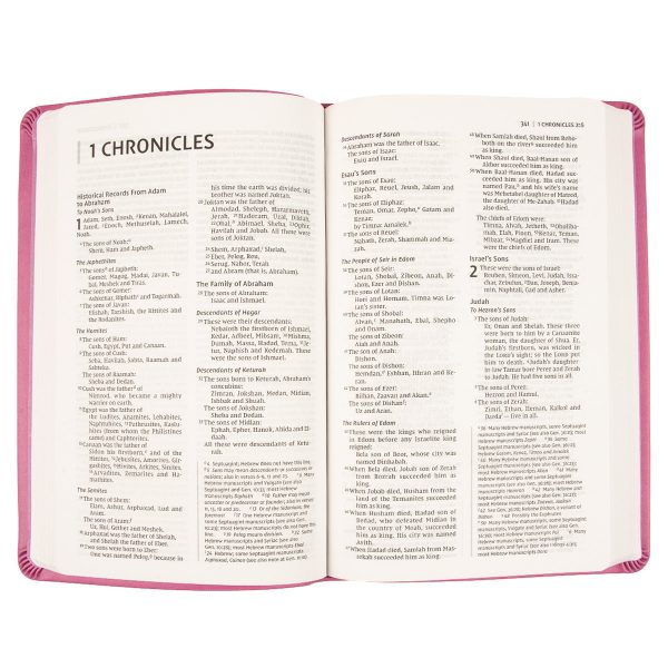 NIV Value Thinline Bible Pink (Comfort Print)(Imitation Leather) - Image 24